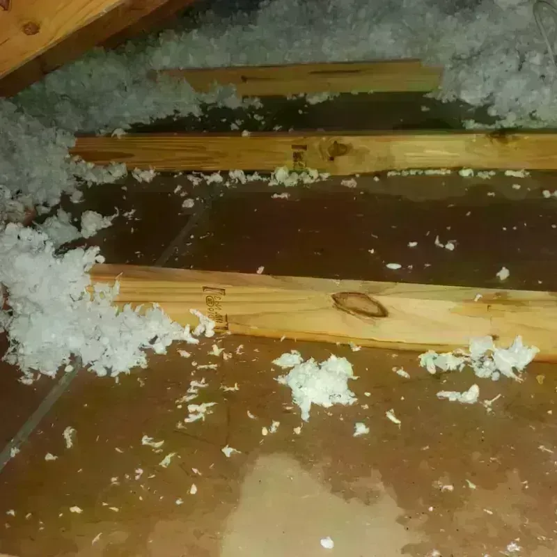 Attic Water Damage in Mescalero, NM