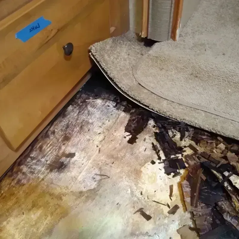 Best Wood Floor Water Damage Service in Mescalero, NM